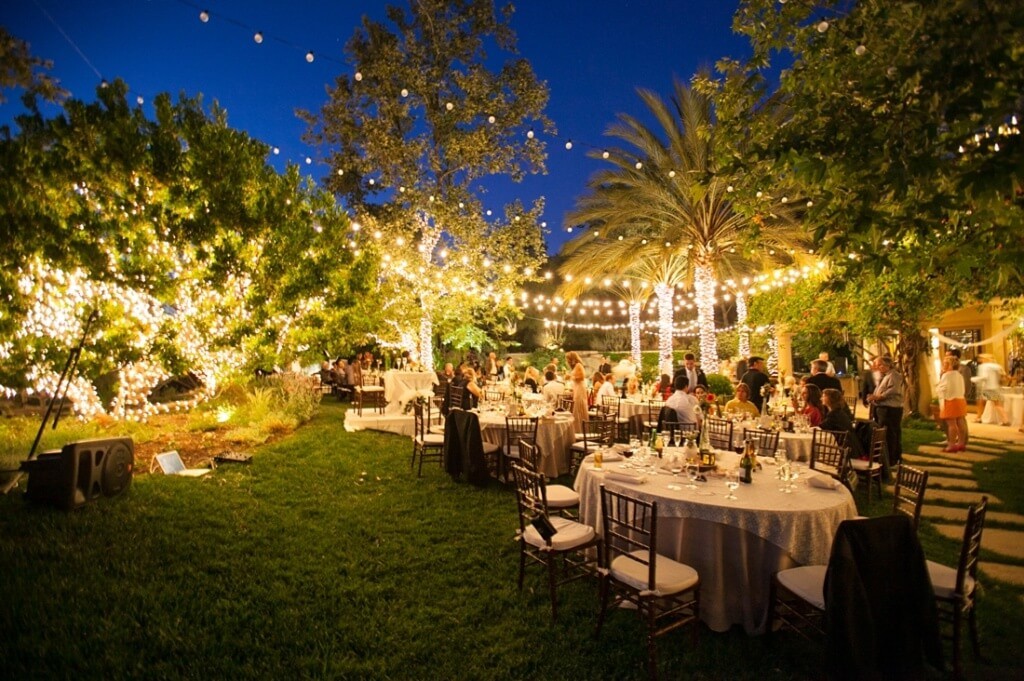 Backyard-wedding-lights-1024x681